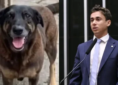 Nikolas Ferreira defende redução da maioridade penal após caso de cachorro morto por adolescentes