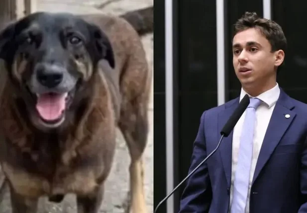 Nikolas Ferreira defende redução da maioridade penal após caso de cachorro morto por adolescentes