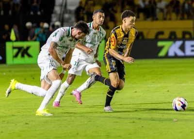 Palmeiras é atropelado pelo Novorizontino