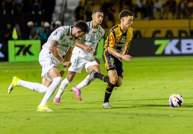 Palmeiras é atropelado pelo Novorizontino
