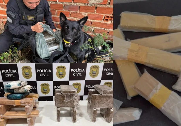 Polícia deflagra operação nas zonas sul e sudeste de Teresina
