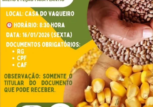 Prefeitura de Coivaras realiza entrega de sementes de milho e feijão para agricultores