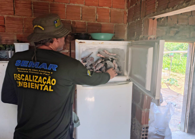 Semarh apreende 66 kg de peixe no sul do Piauí