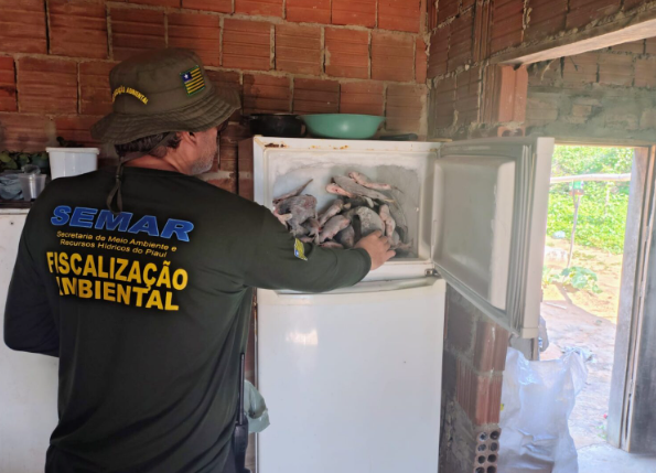 Semarh apreende 66 kg de peixe no sul do Piauí