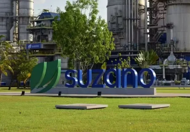 Suzano S/A