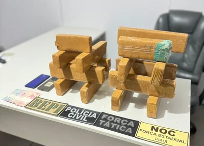 Tabletes de maconha apreendidos com adolescente em Picos