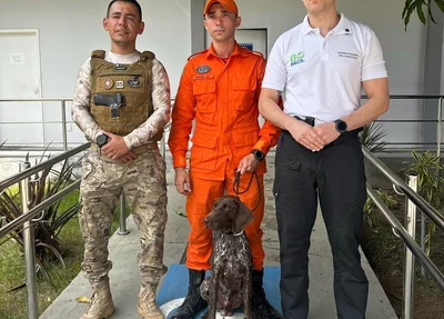 Thor, da raça braco alemão de pelo curto