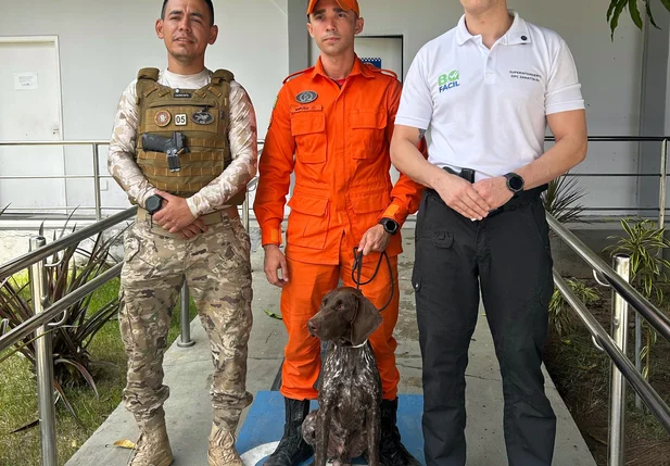 Thor, da raça braco alemão de pelo curto