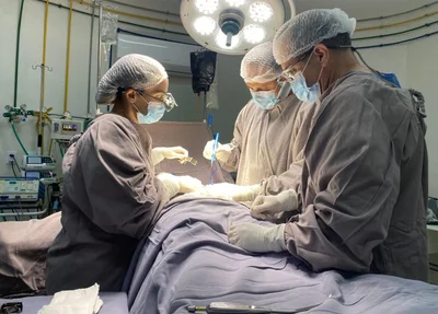 Transplante de órgão
