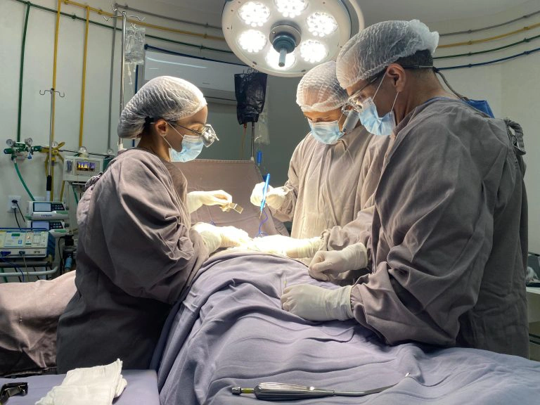 Transplante de órgão