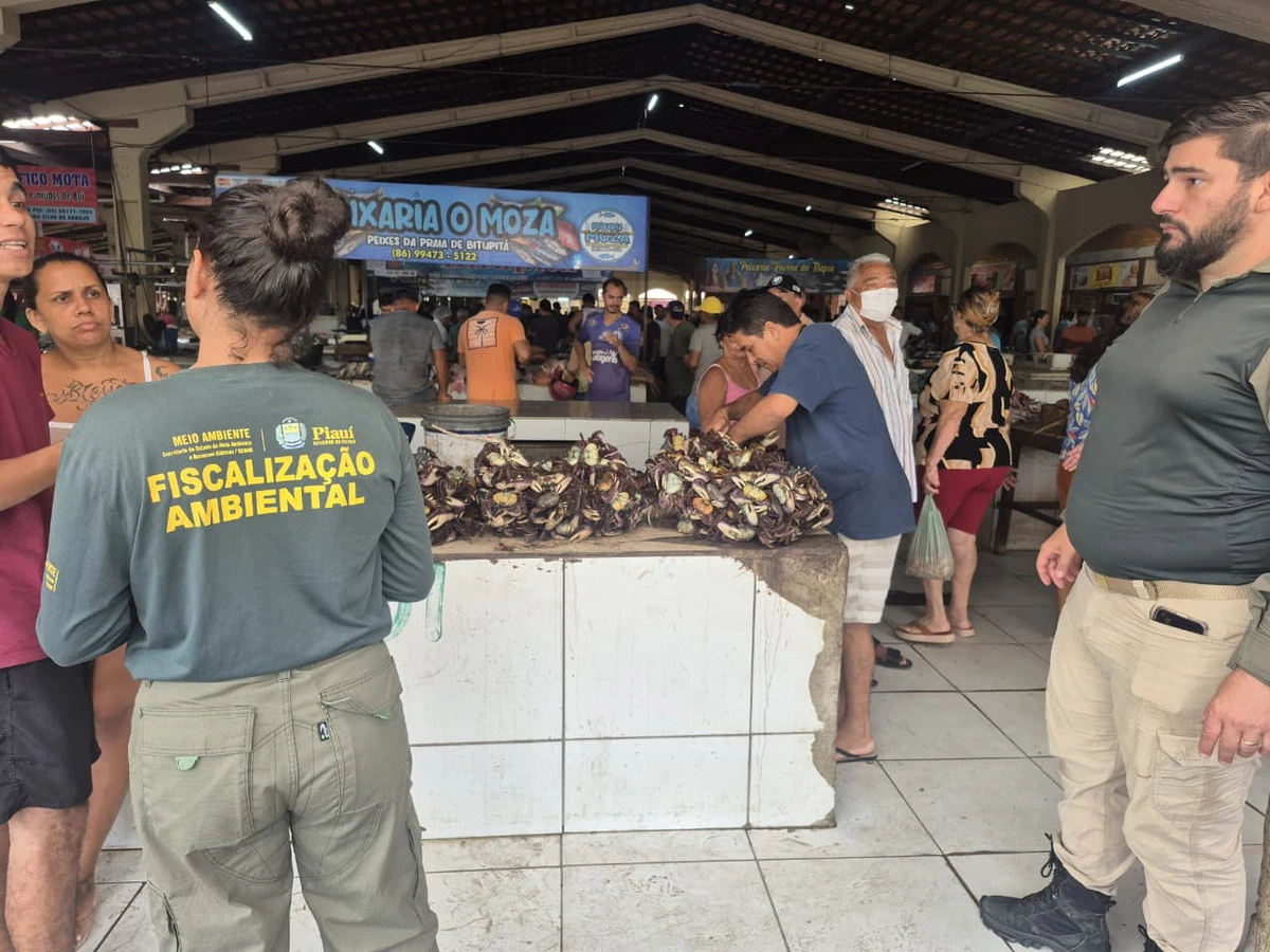 A ação integra a terceira etapa da Operação Defeso do Caranguejo-uçá