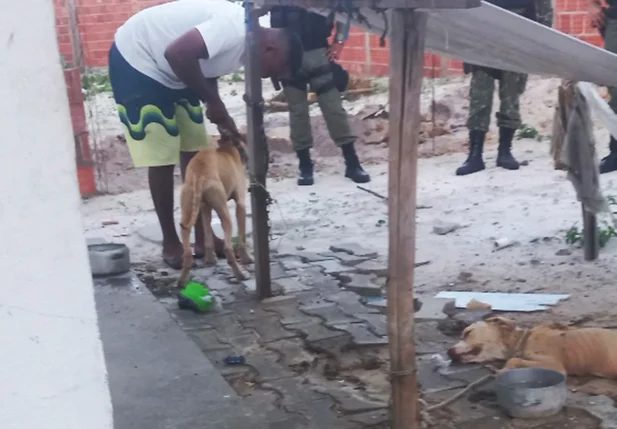Animais encontrados em condições de maus-tratos em Parnaíba