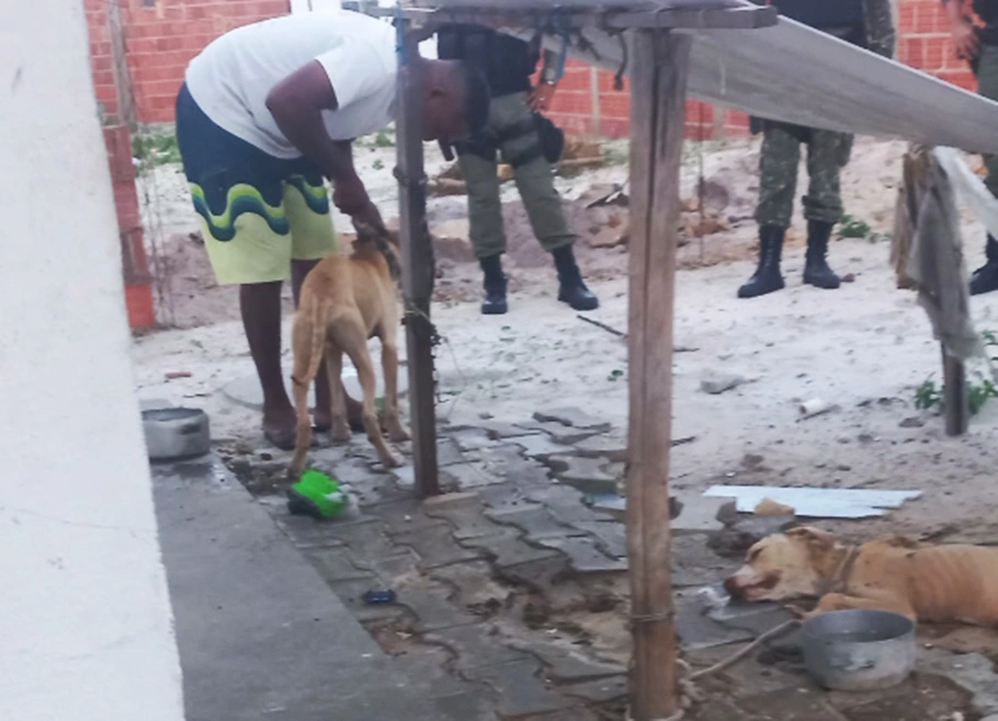 Animais encontrados em condições de maus-tratos em Parnaíba