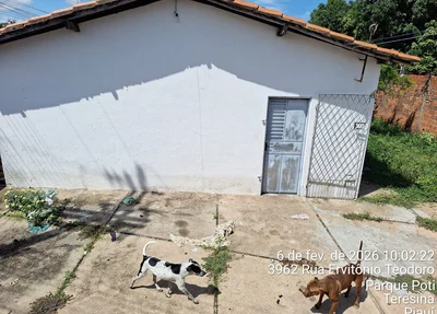 Animais estavam abandonados em um imóvel alugado
