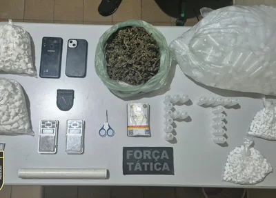 Apreensões em Paulistana