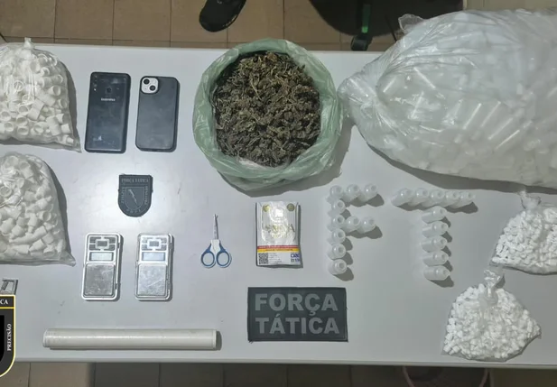 Apreensões em Paulistana