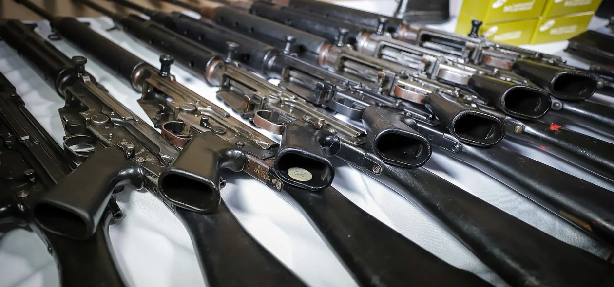 Armas recebidas pela PM-PI