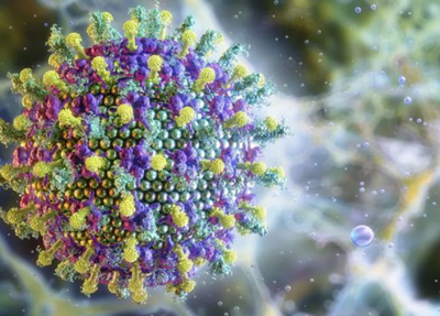 Brasil não tem caso confirmado de Nipah