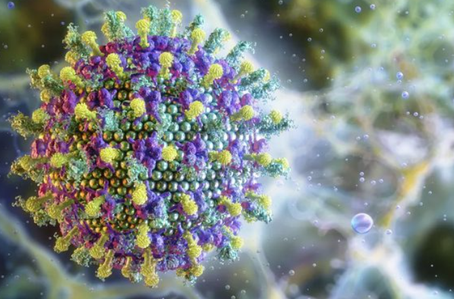 Brasil não tem caso confirmado de Nipah