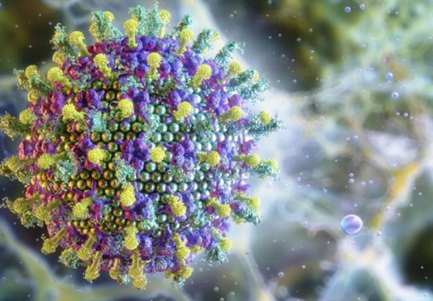 Brasil não tem caso confirmado de Nipah