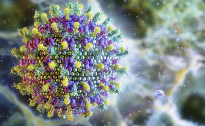 Brasil não tem caso confirmado de Nipah