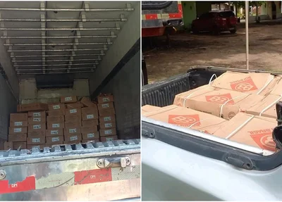 Carga de carne estragada encontrada em Timon
