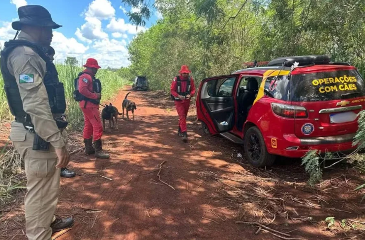 Criança que estava desparecida é encontrada morta no Paraná