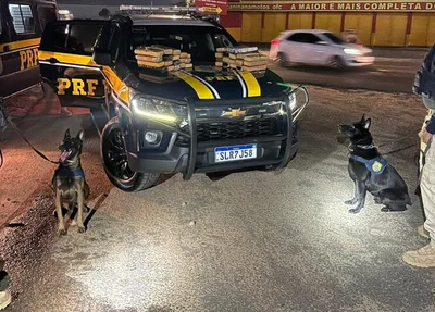Droga apreendida em Teresina