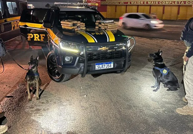 Droga apreendida em Teresina