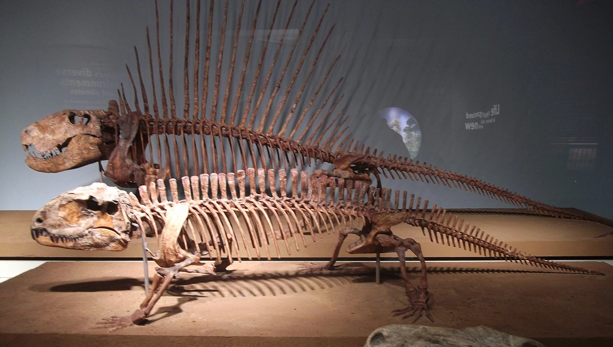 Pelicossauros