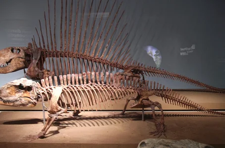 Pelicossauros