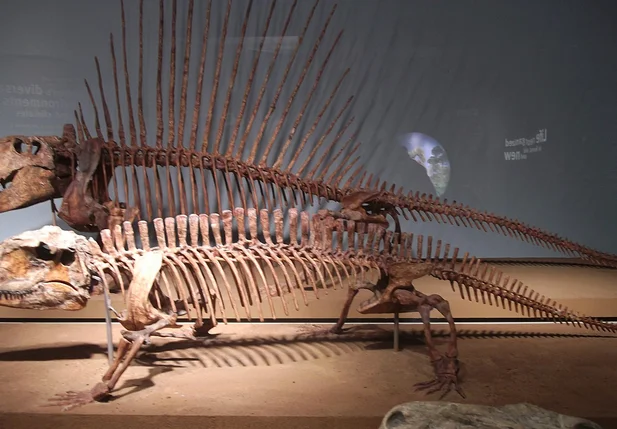 Pelicossauros