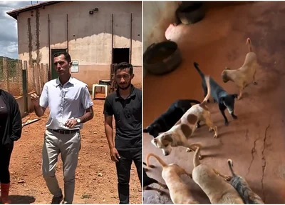 Prefeito Osvaldo da Abelha Branca foi ao abrigo público municipal de animais