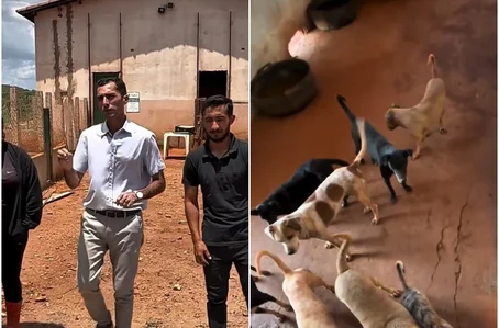 Prefeito Osvaldo da Abelha Branca foi ao abrigo público municipal de animais