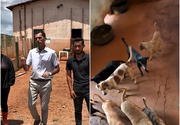 Prefeito Osvaldo da Abelha Branca foi ao abrigo público municipal de animais