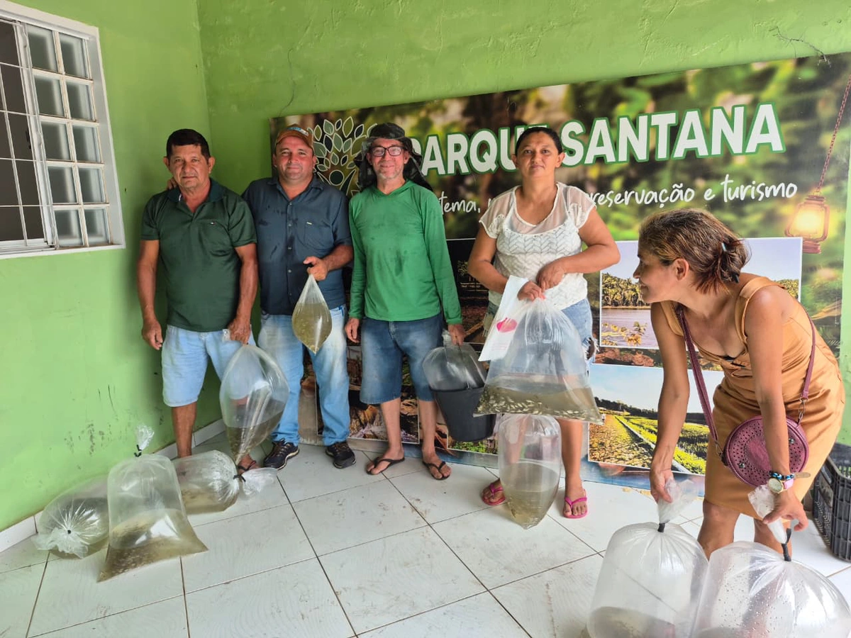 Prefeitura de São João do Arraial entrega 40 mil alevinos a produtores da zona rural