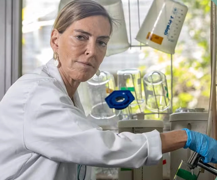 Professora Tatiana Sampaio
