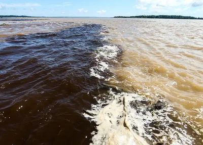 Rio Negro e Solimões