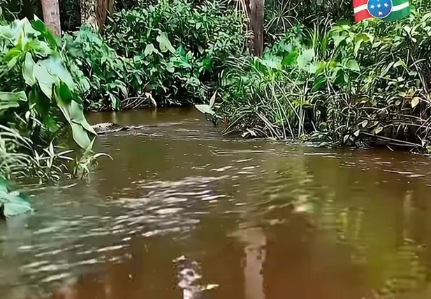 Rio Volta