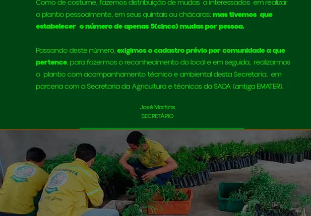 Secretaria de Meio Ambiente de Baixa Grande do Ribeiro realiza distribuição de mudas