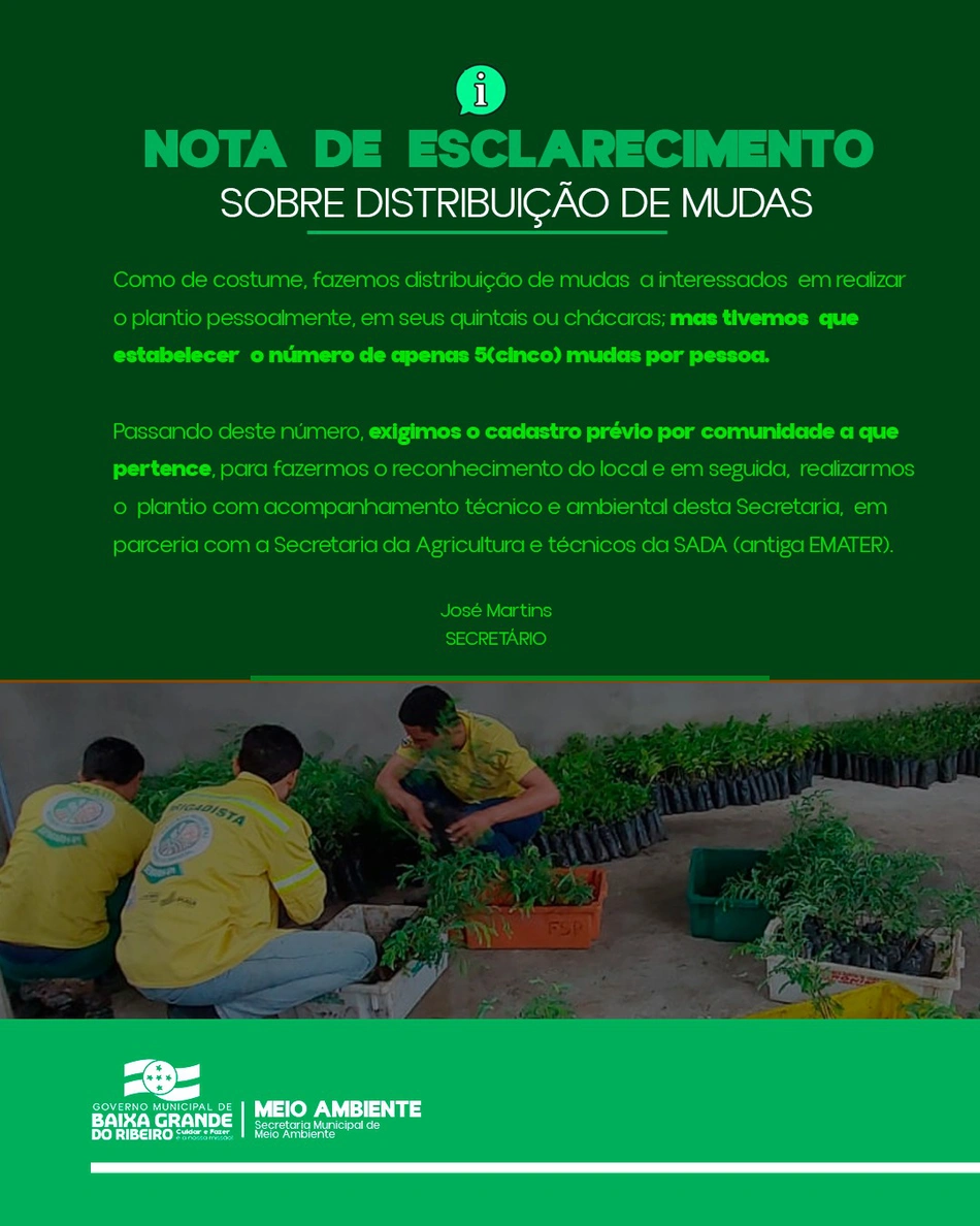 Secretaria de Meio Ambiente de Baixa Grande do Ribeiro realiza distribuição de mudas