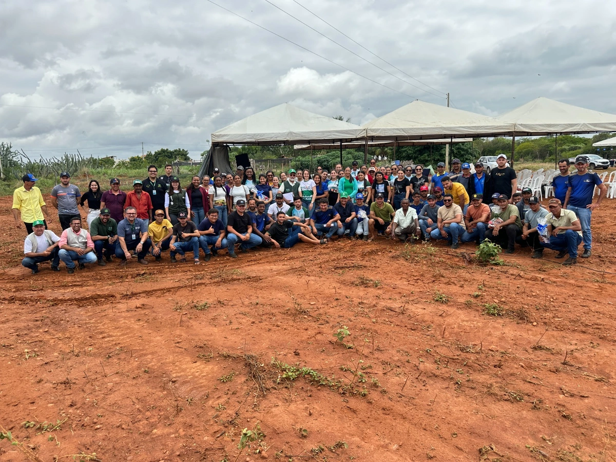 Senar em Betânia do Piauí