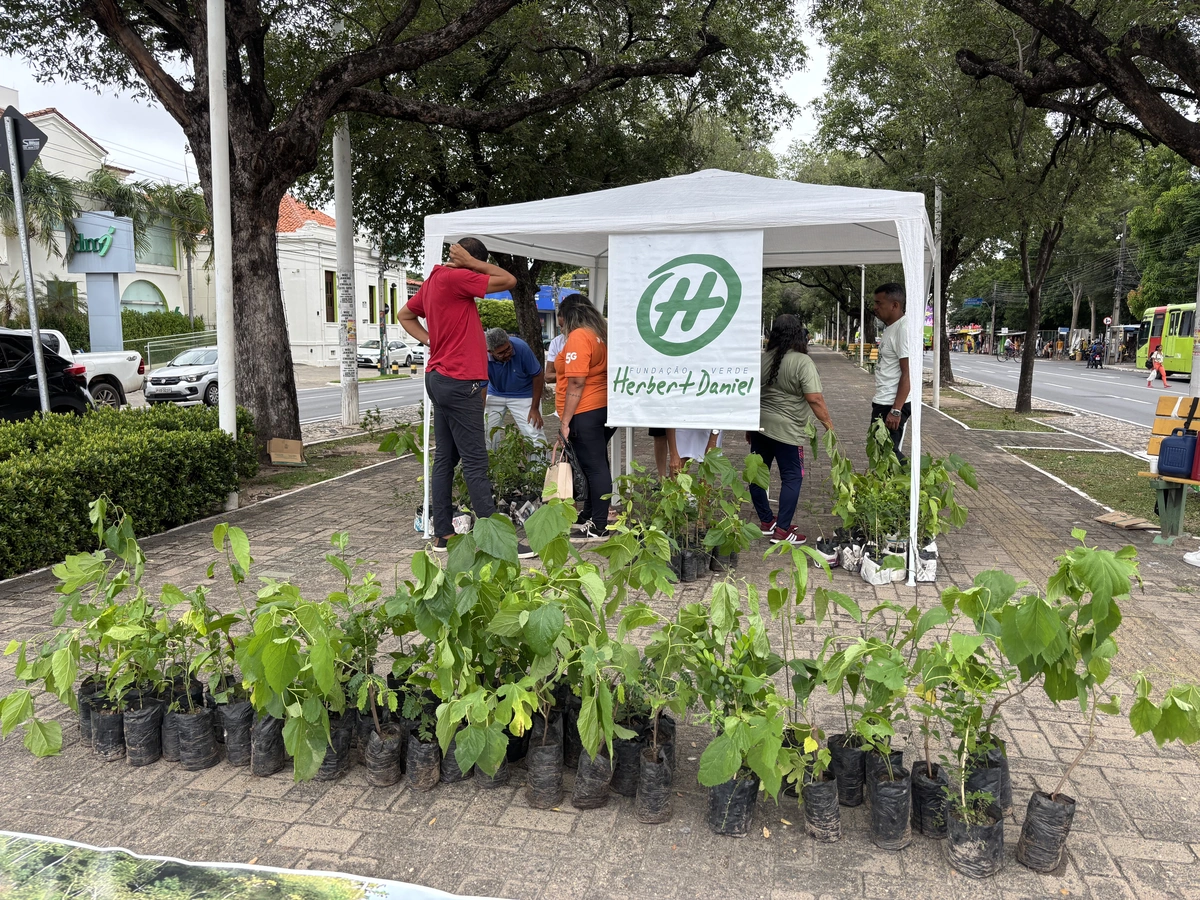 Ação pelo Dia Mundial da Água leva conscientização e distribuição de mudas ao Centro de Teresina