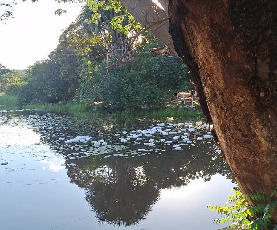 Água do Riacho Esfolado foi contaminada