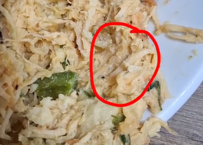 Alimento com larvas