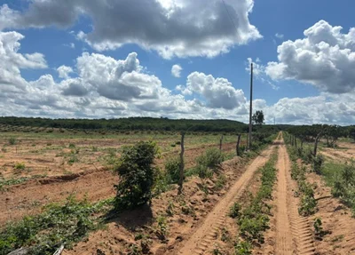 Área fiscalizada no âmbito da Operação Caatinga Resiste