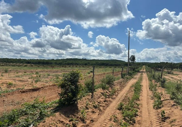 Área fiscalizada no âmbito da Operação Caatinga Resiste