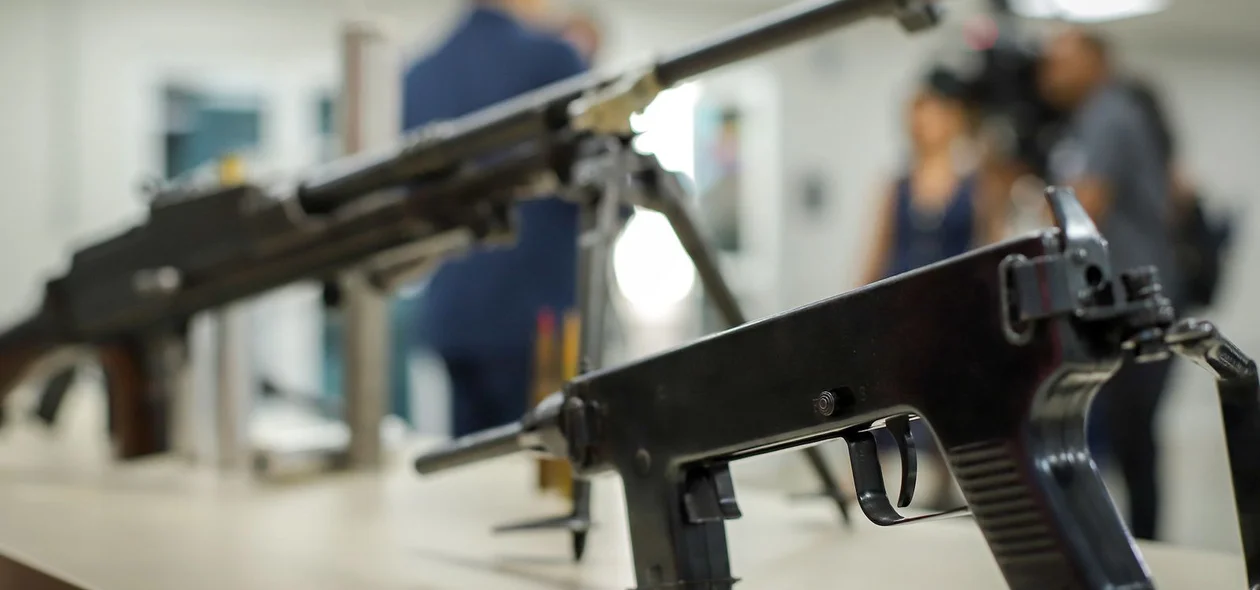 Armas de fogo apreendidas