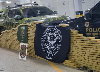 Carga com 634 kg de skunk foi apreendida