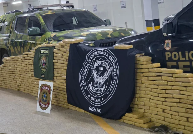 Carga com 634 kg de skunk foi apreendida